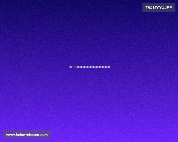 2018年武术赛事全纪录激情与荣耀交织巅峰对决时刻重温