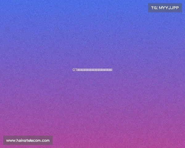 GT赛事强者争霸全面解析谁是最强车队与车手终极对决